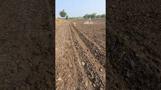 Aaj lasun vale khet me motar chala di 👍youtube automobile johandear farming [upl. by Ernesta]