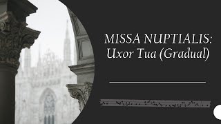 Uxor Tua  Gradual  Missa Nuptialis [upl. by Casilde662]