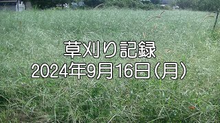 草刈記録2024年9月16日 [upl. by Garate]