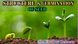 147 Structure of Seed  Germination of Seed Epigeal amp Hypogeal  Class 10th  Biology [upl. by Gibb]