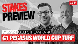 TFUS Grade 1 Pegasus World Cup Turf Preview  January 27 2024 [upl. by Rramal897]