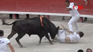 Lunel 06062022  Course Camarguaise  Trophée Patrick Castro [upl. by Anielram747]