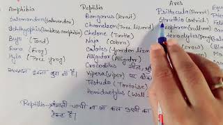 Tetrapoda examples with super pnemonics 😱😁 [upl. by Saucy]