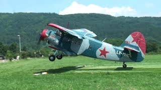 ✈ GREAT Antonov AN2  world biggest singleengine biplane  DDay Sisseln Switzerland [upl. by Ias]