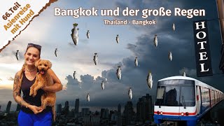 Bangkok und der große Regen ● Thailand ● Bangkok ● Vlog 87 [upl. by Mainis]