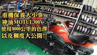 Z騎小學堂  神油MOTUL 300V使用8000公里的色澤稠度大公開  KAWASAKI 2014 Z1000 8000KM  MOTUL 300V [upl. by Nhabois]