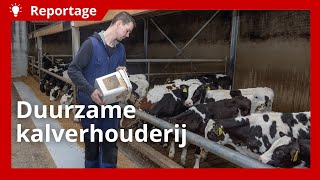 Duurzaam vleeskalveren grootbrengen met restproducten en eigen gewassen [upl. by Wilhide]