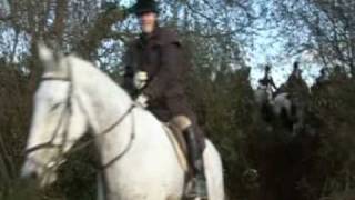 Island Foxhounds  Hunting in Ireland [upl. by Anaiv]