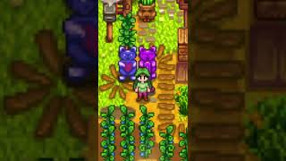 ECONOMIZE 5 MILHÕES DE OUROS NO Stardew Valley [upl. by Beauvais]