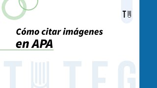 Cómo citar imágenes en APA [upl. by Nylanaj]