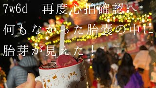 7w6d 再度心拍確認へ。何もなかった胎嚢の中に、まさかの胎芽が見えました🥺 [upl. by Aden]