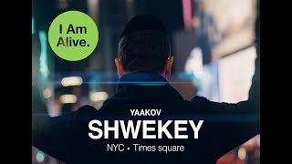 SHWEKEY  I Am Alive [upl. by Noslien]