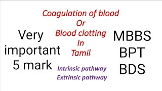 Coagulation of Blood in Tamil Intrinsic and extrinsic pathway in Tamil  Blood clotting in Tamil [upl. by Annahvas]