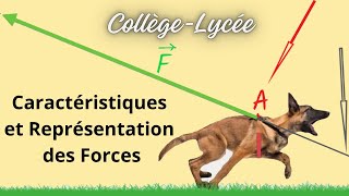 Comment caractériser et modéliser une force [upl. by Lorinda]