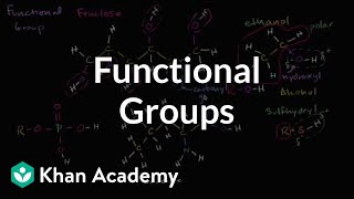 Functional groups  Properties of carbon  Biology  Khan Academy [upl. by Lyrred]