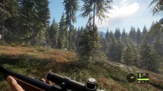 theHunter Call of the Wild  r9 290  AMD FX 8350  Ultra [upl. by Goldstein]