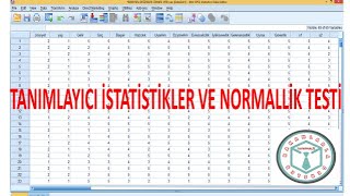 TEMEL SPSS TANIMLAYICI İSTATİSTİKLER NORMALLİK VARSAYIMI [upl. by Justen]