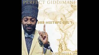 PERFECT GIDDIMANI DUB MIXTAPE VOL 1 2024 BY SELECTRESS I AH [upl. by Kipp421]