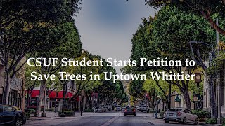 CSUF Student Starts Petition to Save Trees in Uptown Whittier [upl. by Eatnahc]