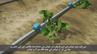 Dubai Ground Water Conservation Program video [upl. by Babara]