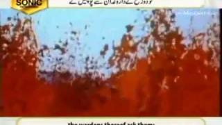 Sura Mulk  Beautiful Recitation by Qari Syed Sadaqat Ali [upl. by Omolhs301]