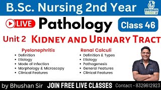 Class 46  Pyelonephritis  Renal Calculi  Pathology and Genetics  BSc Nursing 2nd year [upl. by Anned]