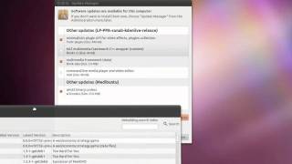 ppa update ubuntu partial upgrade required ubuntu 1010 [upl. by Rubie413]