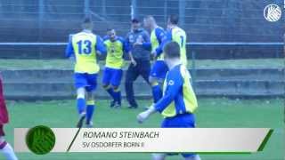 Vorschlag Tor des Monats  Romano Steinbach SV Osdorfer Born II  ELBKICKTV [upl. by Jan]