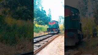 Sri lanka 🛤️🚉 near the nine arches shorts trending viralshorts travel viralvideo [upl. by Atina]