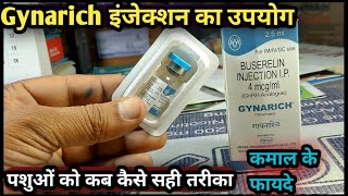 Gynarich injection 💉Buserelin AcetateintasUse in Animals पशुओं को कब कैसे [upl. by Danzig]