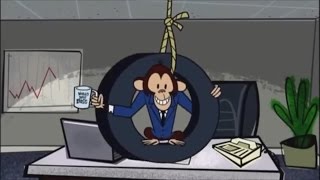 The Ricky Gervais Show  Monkey News Chimpanzee Builder [upl. by Ahseken262]