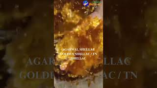 GOLDEN  TN SHELLAC BY AGARWAL SHELLAC SHIPPING ALL AROUND THE WORLD shellac shellacflakes [upl. by Publia]