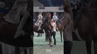 Haylen Witmer  Worlds Championship Horse Show [upl. by Swithbart]