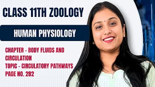 CLASS 11TH  BODY FLUIDS AND CIRCULATION  CIRCULATORY PATHWAYS  NCERT PAGE NO 282 [upl. by Ntsud]