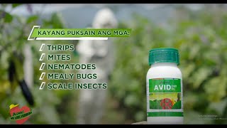 Agway Chemicals Corporation  AVID 240 SC Insecticide [upl. by Galan661]