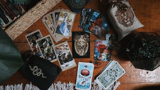 IT IS TIME 🌱 Monthly Tarot Roundup  Plant Magick Flower Essences and SILLY SILLY DECKS [upl. by Elyag]