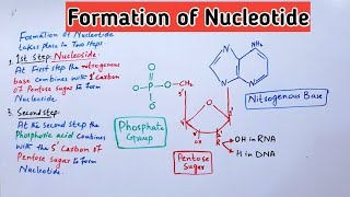 Formation of Nucleotide and Nucleoside Biochemistry Lectures  Jiyas Biology Tutorials [upl. by Elacsap]