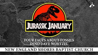 Four Facts About Fossils  Dino Dave Woetzel [upl. by Afton]