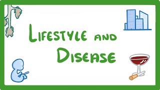 GCSE Biology  Is Your Lifestyle Really a Personal Choice  Lifestyle amp Risk Factors 42 [upl. by Keriann]