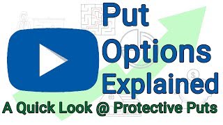 Put Option Explained  Protective Put Example [upl. by Lamdin210]