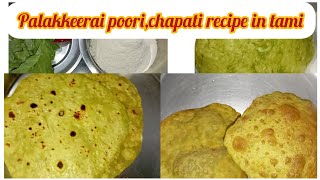 palakkeerai poori chapati recipe in tamil  பாலக்கீரை பூரி சப்பாத்தி sutharsanalifestyle308 [upl. by Oiracam]