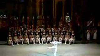 Sarafanov Leonid  La Bayadere [upl. by Nica]