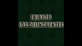 TRIBUTO A LOS DELINCUENTES [upl. by Anayad]