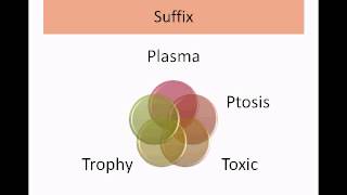 Medical Terminology Part 1Intro to Root Prefix Suffix [upl. by Aneem557]