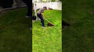 The Most Effective Way to Eliminate Moles in Your Yard [upl. by Nilak]