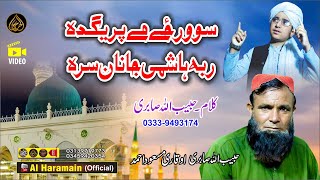 سو ورزے مے پریگدہ ربہ ہاشمی جانان  Habibullah Sabri amp Hafiz Masaud ahmad  Pashto 2024 Naat [upl. by Engleman]