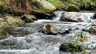 Creek Sounds for Sleep Relaxation Medidation 3 Hours Nature [upl. by Darius379]