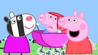 Peppa Pig Français  3 Épisodes  Alexandre le Petit Cousin  Dessin Animé Pour Enfant PPFR2018 [upl. by Dlopoel500]