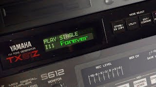 Yamaha TX81Z Forever Bank 2 w FX Demo 5 [upl. by Ahsercul114]