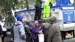 Stocking Trout at the Bushkill Creek [upl. by Eiramadnil]